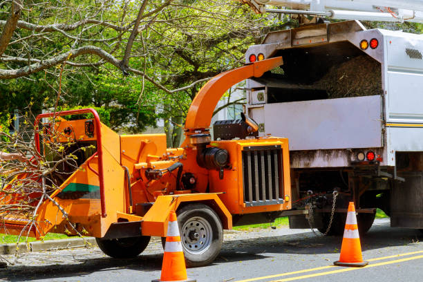 Best Dead Tree Removal  in Fox Lake, IL